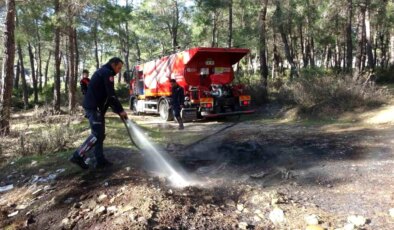 Manavgat’ta Orman Yangını: Dumanın Kaynağı Şaşırttı, Jandarma Soruşturma Başlattı