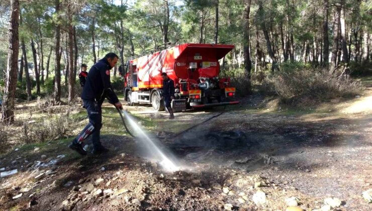 Manavgat’ta Orman Yangını: Dumanın Kaynağı Şaşırttı, Jandarma Soruşturma Başlattı