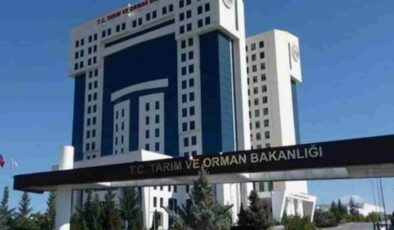 Tarım ve Orman Bakanlığı Personel Alımı Sonuçları Açıklandı: İşte Branşlara Göre Dağılım