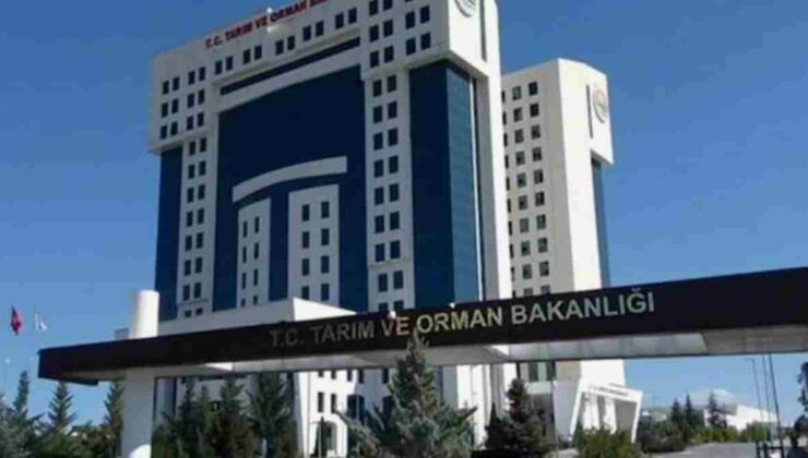 Tarım ve Orman Bakanlığı Personel Alımı Sonuçları Açıklandı: İşte Branşlara Göre Dağılım