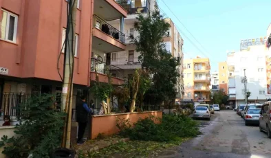 Antalya’da Ağacı Kesmek Elektrik Kesintisine ve Yangına Neden Oldu