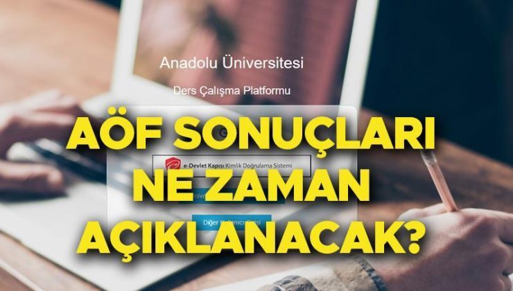 AÖF Vize Sonuçları ve Detaylar: 2024 Dönemi