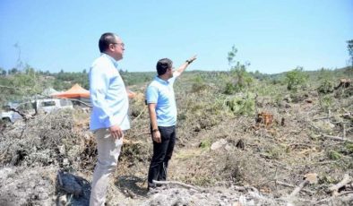 Akbelen Ormanı’nda Ağaç Kesimi ve Doğa Mücadelesi