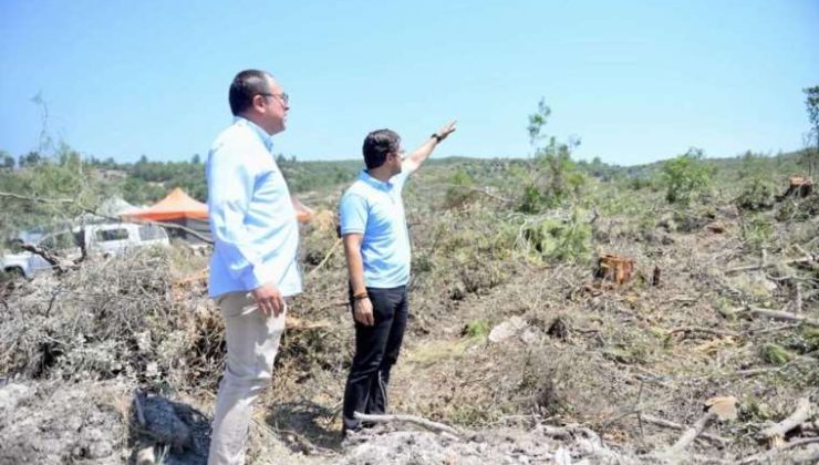 Akbelen Ormanı’nda Ağaç Kesimi ve Doğa Mücadelesi