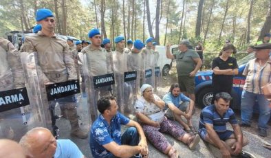 Akbelen Ormanı’ndaki Ağaç Kesimlerine Karşı Direniş ve Ağaçlandırma Protokolleri