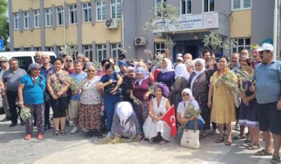 AKP Döneminde Doğal Alanların Tahribi ve Mücadeleler