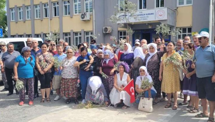 AKP Döneminde Doğal Alanların Tahribi ve Mücadeleler