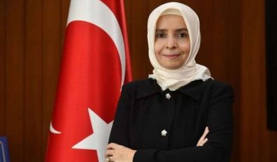 Ayşe Hilal Sayan Koytak: Eğitim ve Kariyer Geçmişi