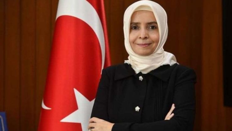 Ayşe Hilal Sayan Koytak: Eğitim ve Kariyer Geçmişi