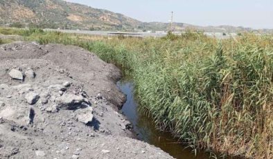 CHP’li Süleyman Bülbül, Aydın’daki Sulak Alanlar ve Latmos Dağları’ndaki Maden Ocakları ile İlgili İddiaları Meclis’e Taşıdı