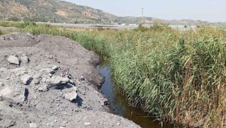 CHP’li Süleyman Bülbül, Aydın’daki Sulak Alanlar ve Latmos Dağları’ndaki Maden Ocakları ile İlgili İddiaları Meclis’e Taşıdı