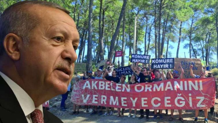 Erdoğan’dan Ekonomi, Anayasa Değişikliği ve Fındık Alım Fiyatlarına Dair Açıklamalar