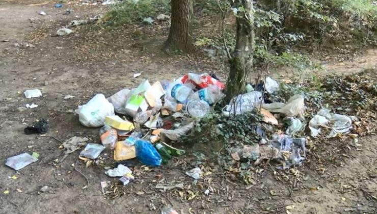 İstanbul’da Piknik Alanları ve Artan Çöp Sorunu