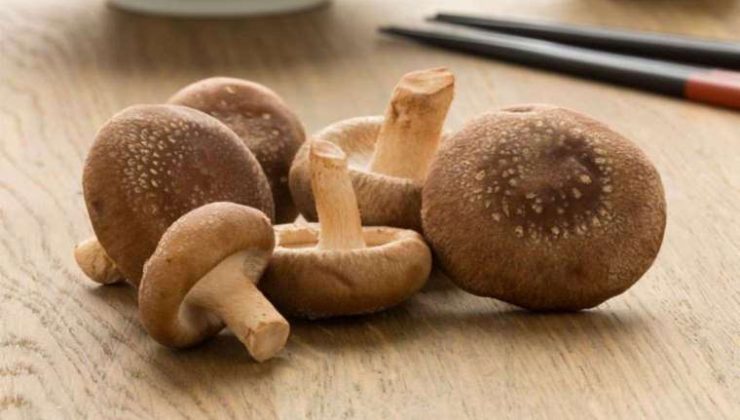 Shiitake Mantarı: Özellikleri, Kullanımı ve Pişirme Yöntemleri