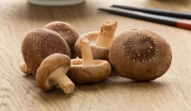 Shiitake Mantarı: Özellikleri, Kullanımı ve Pişirme Yöntemleri